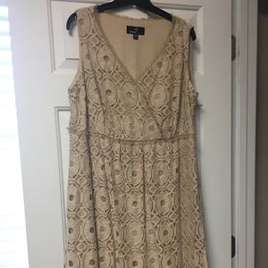 Tan lace dress was altered for a wedding